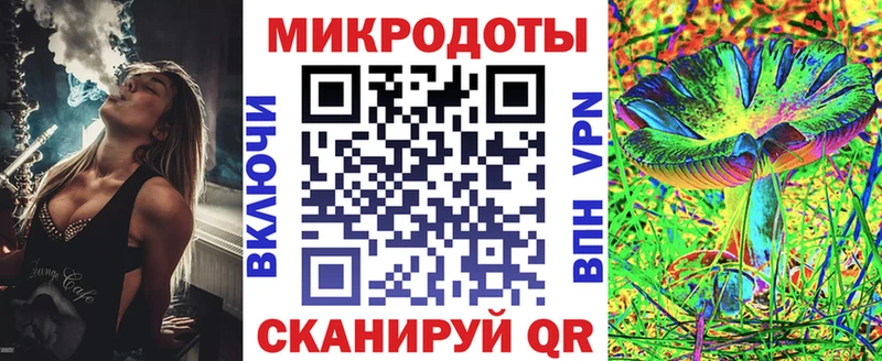 Галлюциногенные грибы Psilocybe купить наркотики сайты Якутск